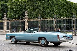 Cady Cruise