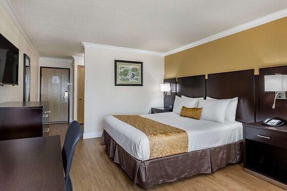 Online Booking EPS - photo 9