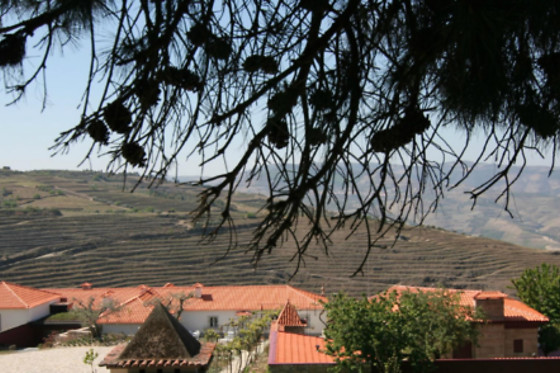 CASAL DE TRALHARIZ - photo 5