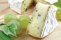 Cantina Cavallini