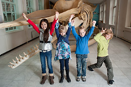 Natuur Museum Fryslân