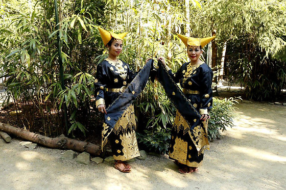 Dierenpark Taman Indonesia - photo 3