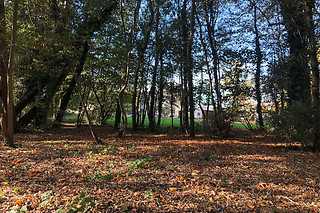Séjour 3 nuits pour 2 au Kasteel - B&B Sint-Bartel à Grammont (Flandre orientale)