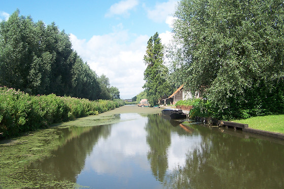 O marais - photo 0