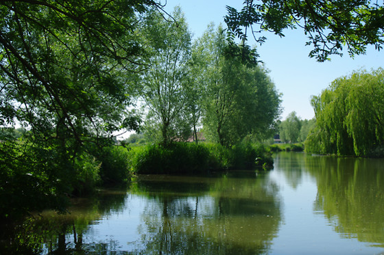 O marais - photo 1