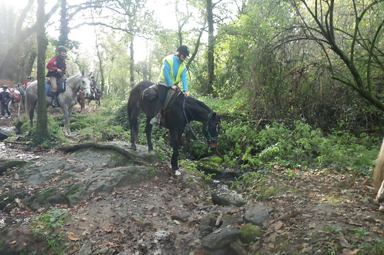 Centre Equestre La Champagne - photo 3