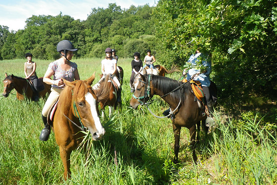 Centre Equestre La Champagne - photo 2