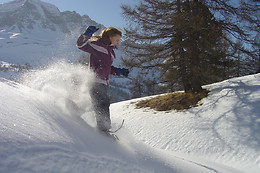 Montagne Mélézin