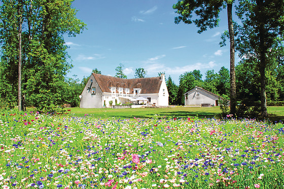 Domaine des Tinarages - photo 9
