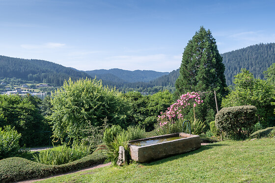 Le manoir au lac - photo 10