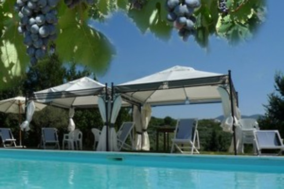Agriturismo Giardini di Eidos - photo 12