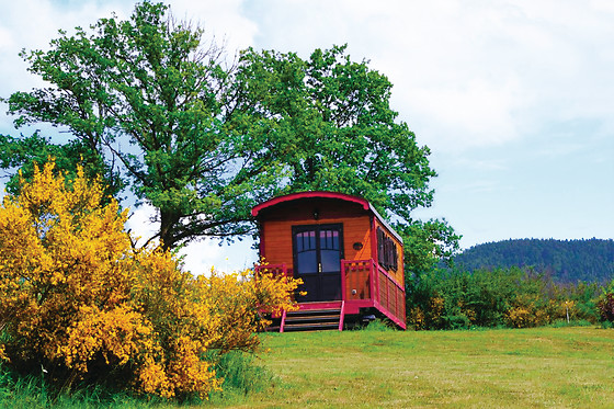 Les Roulottes et Cabanes du Livradois - photo 0
