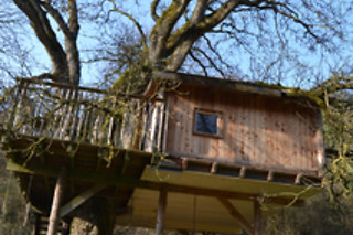 Nuit en cabane dans les arbres pour 2 au Moulin de Lisogne à Dinant (Namur)