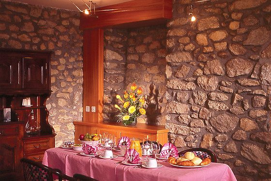 Hôtel du Pigne - photo 3