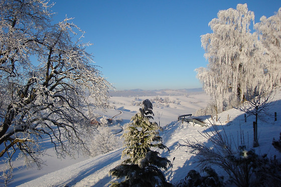 BnB Schönenthül - photo 2