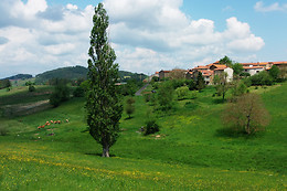 Le Vallon d'Armandine