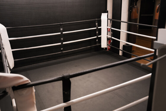 Ibracadabra Trainer - photo 5