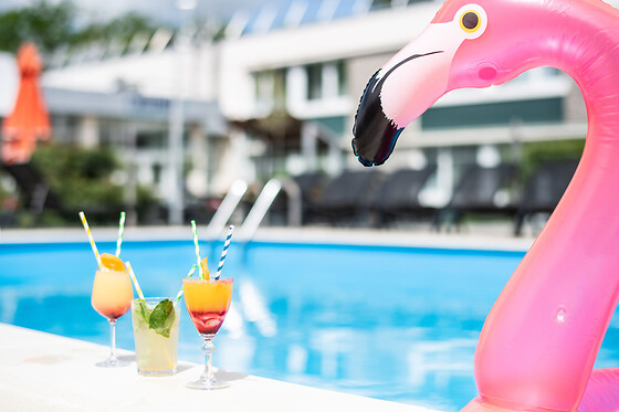 NOVOTEL EVRY COURCOURONNES - photo 13