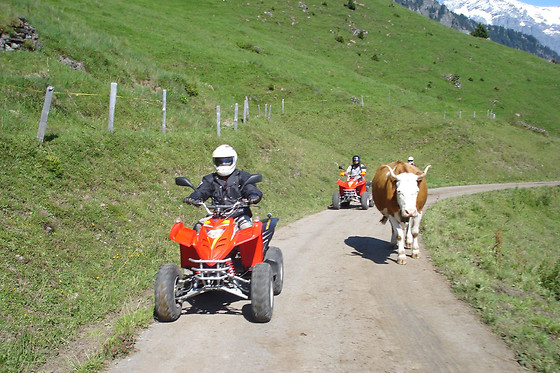 QUADTOUREN BERNER OBERLAND - photo 4