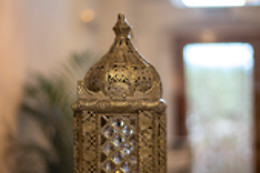 ALELLA ORGANIC SPA