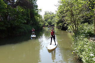 Stand up paddle pour 2 avec Dijle Floats près d'Heverlee (Brabant flamand)