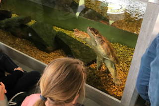Visite guidée du Reptilarium, manipulation et nourrissage des animaux chez Mike's Reptipark à Tournai (Hainaut)