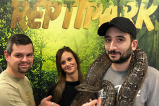 Visite guidée du Reptilarium, manipulation et nourrissage des animaux chez Mike's Reptipark à Tournai (Hainaut)