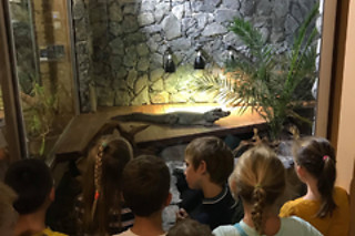Visite guidée du Reptilarium, manipulation et nourrissage des animaux chez Mike's Reptipark à Tournai (Hainaut)