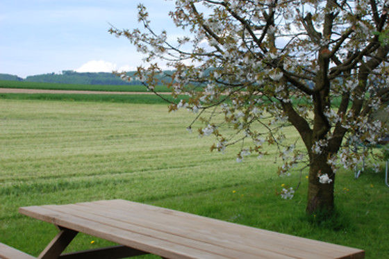 Gehrenhof - photo 1