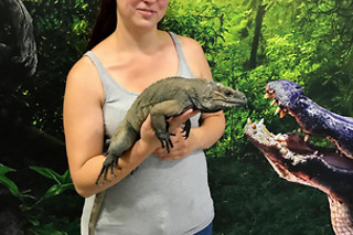 Visite guidée du Reptilarium, manipulation et nourrissage des animaux chez Mike's Reptipark à Tournai (Hainaut)