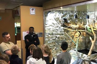 Visite guidée du Reptilarium, manipulation et nourrissage des animaux chez Mike's Reptipark à Tournai (Hainaut)