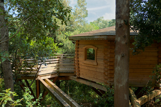 Les Cabanes dans les Bois - photo 5