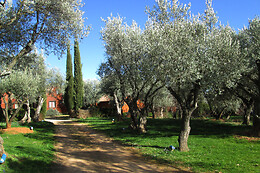 CAMPING ALQUEZAR