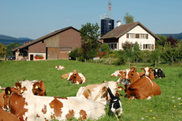 Gehrenhof