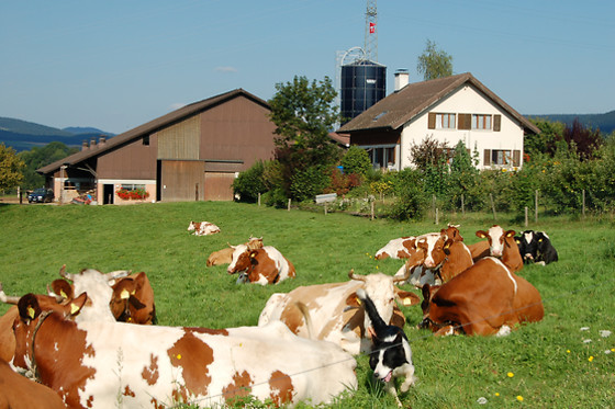 Gehrenhof - photo 2
