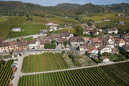 Cave Laurent et François Munier