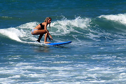 Pettirosso Surf School