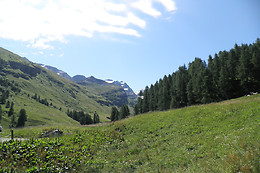 Crasta Padrun Barbara