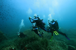 COSTA PALANCIA