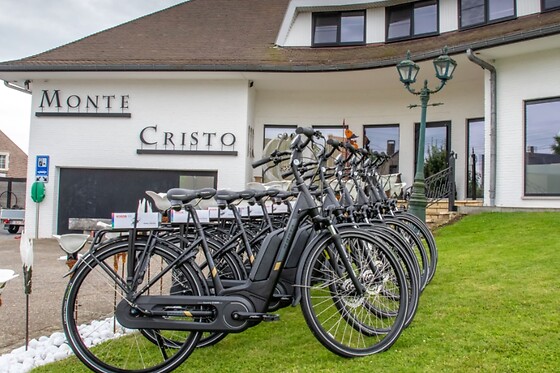 Hotel Monte Cristo - photo 4