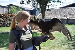 De Valkerij Boerderij