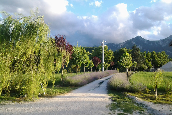 Antica Dimora - photo 2