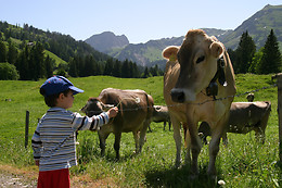 Ferme Berra