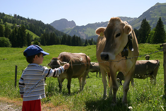 Ferme Berra - photo 0