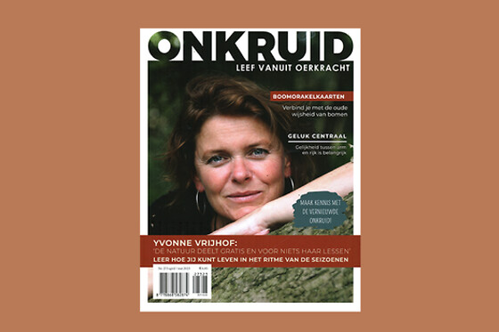 Abonnementenland - photo 186