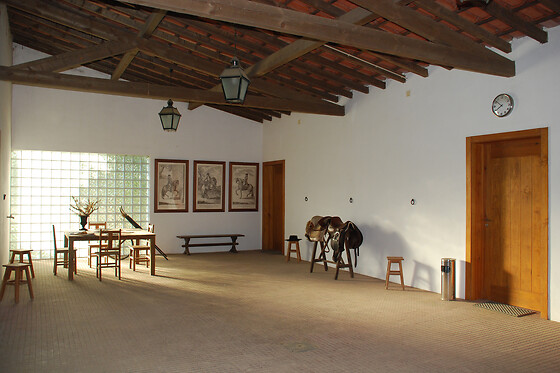 PICADEIRO QUINTA DO VALE - photo 2
