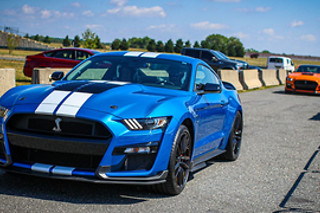 Découverte Ford Mustang Shelby GT500 (5 tours) sur le Circuit de Mettet (B)