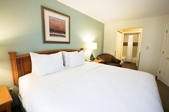 Online Booking EPS - photo 8