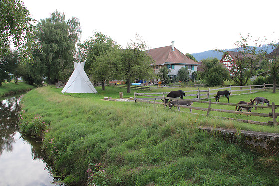 Eselhof Säge - photo 8