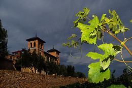 BODEGAS CASTILLO DE MONJARDIN